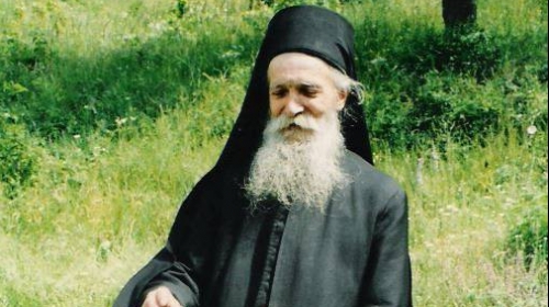 СТАРЕЦЪТ ТАДЕЙ ВИТОВНИШКИ ЗА ДУШИТЕ НА ПОЧИНАЛИТЕ
